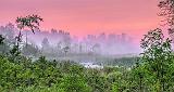 Foggy Wetland At Sunrise_P1140618-20